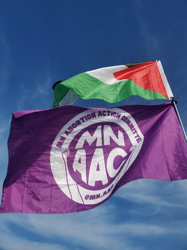 An Open Letter from MNAAC: The Reproductive Rights Movement Must Stand with Palestine